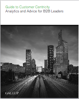 Guide to Customer Centricity