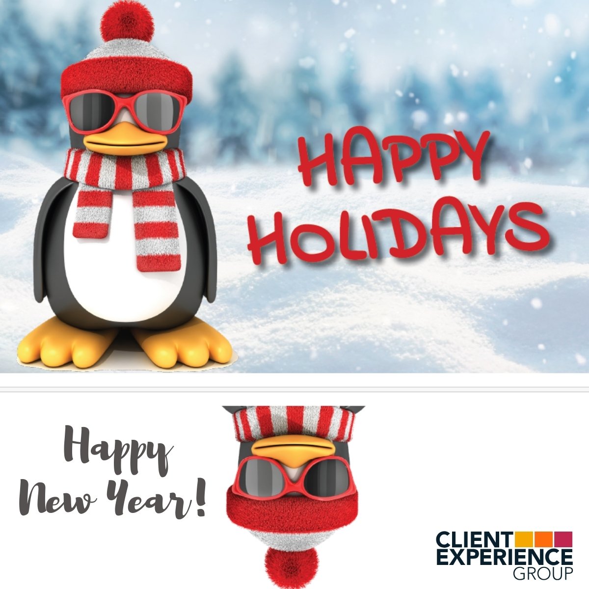 Picture of a penguin wearing a red snow cap and sunglasses overlaid on a snow falling background with text: Happy Holidays.